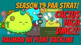 AXIE SEASON 19 PLANT BACKLINE AAP STRAT [upl. by Nnayllehs]