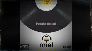 MIEL PETALO DE SAL cover Nucord estudio 2024 [upl. by Eiramana]