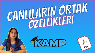 CANLILARIN ORTAK ÖZELLİKLERİ FULL TEKRAR TYT 2025 [upl. by Norman]