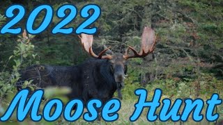 Moose Hunt 2022 [upl. by Loveridge]