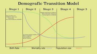 Animation of the demographic transition model and population growth amp decline [upl. by Dev887]