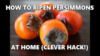 How To Ripen Persimmons At Home Clever Hack [upl. by Marcelle]