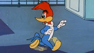 Run and Hide Woody  25 Hours of Classic Episodes of Woody Woodpecker [upl. by Nanis]