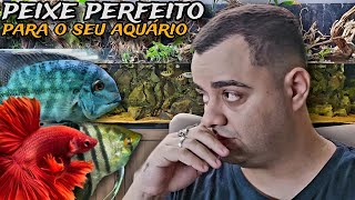 COMO ESCOLHER O PEIXE PERFEITO OU QUASE PERFEITO PARA O SEU AQUÁRIO [upl. by Eisele113]