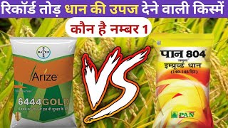 रिकॉर्ड तोड धान की उपज देने वाली किस्में  arize 6444 gold Vs pan 804 jamuna  seed of paddy [upl. by Tali122]