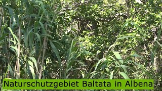 Naturschutzgebiet Baltata in Albena [upl. by Egres]