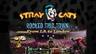 Stray Cats  Stray Cat Strut LIVE [upl. by Riker]