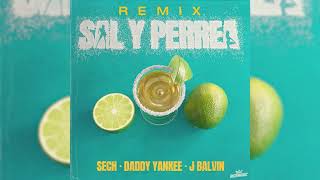 Sech Daddy Yankee J Balvin  Sal y Perrea Remix Audio Oficial [upl. by Noek200]