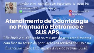 Atendimento Odontológico pelo Prontuário Eletrônico eSUS APS [upl. by Pero]