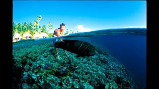 Surf Travel  Tuamotu Islands [upl. by Ondrea]