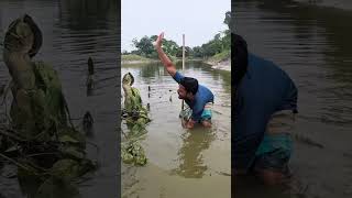 🐟🐟🐟🐟fishing fish reels comedy funny viralvideo [upl. by Efi27]