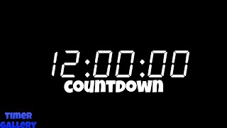 TIMER 12 HOURS WITH ALARM  TEMPORIZADOR 12 HORAS COM ALARME [upl. by Gal]