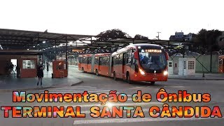 Movimentação de Ônibus 3  Terminal Santa Cândida Horário de Pico [upl. by Reseda918]