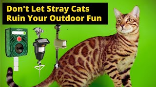 Best Outdoor Cat Repellent Dont Let Stray Cats Ruin Your Outdoor Fun [upl. by Airamesor836]