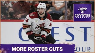 Coyotes Make More Roster Cuts Ahead of End of Preseason [upl. by Marcin]