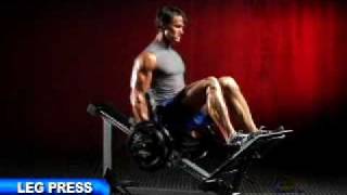 Powertec Compact Leg Sled  FitnessXpresscomau [upl. by Airemat61]