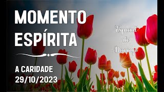 Momento Espírita  A Caridade [upl. by Hilda869]