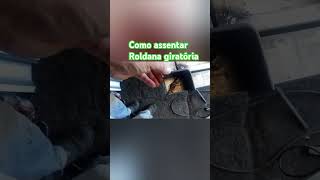 Assentando roldana giratória [upl. by Nedah]