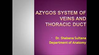 Dr Shabana Azygos system of veins and Thoracic duct [upl. by Nork]