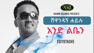 Shewandagn Hailu  And Liben  ሸዋንዳኝ ሐይሉ  አንድ ልቤን  Ethiopian Music [upl. by Lantz382]