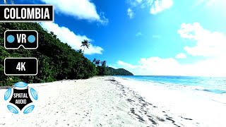 360° Playa Manzanillo  Providencia Island  Colombia  VR Ambisonics [upl. by Naenaj]