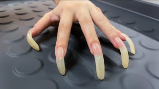 ASMR Tapping amp Scratching with my LONG NATURAL NAILS🐱🐾 [upl. by Elraet]