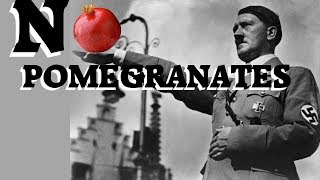 NEIN POMEGRANATES  Meme NO POMEGRANATES [upl. by Adraynek351]