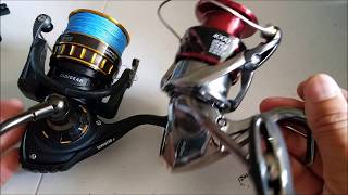 Shimano vs Daiwa Who makes the best 200 SPINNING REEL Lets figure it out [upl. by Annaerb]