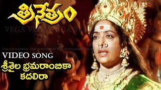 Srisaila Bramarambika Video Song  Trinetram Movie Songs  Raasi  Sijju  Trinetram [upl. by Damien887]