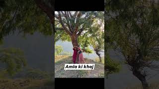 Amla ki khojwith vihumummananijungle chambahimachal [upl. by Iatnwahs]