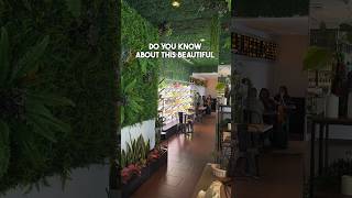 Beautiful garden cafe in Singapore [upl. by Samuella]