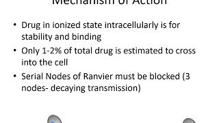 Local Anesthetics Pharmacology  Dr Bauereis [upl. by Gratt]