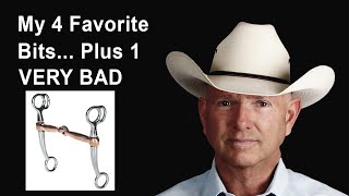 My 4 Favorite Curb Bits… Plus 1 That’s VERY BAD For Your Horse [upl. by Stanislas]