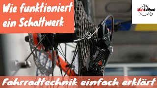 Schaltwerk  Fahrradtechnik zum Gangwechseln näher angeschaut  Alles Fahrrad 24 [upl. by Enaxor]