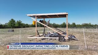 Drought labels these Ohio counties as natural disaster area [upl. by Eon]