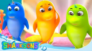 5 Little Reef Sharks  Videos for Kids  Nursery Rhymes amp Kids Songs  The Sharksons [upl. by Drarehs]