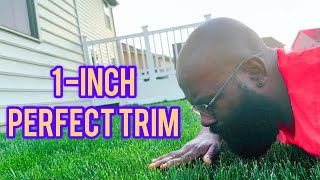 Trimming Tall Fescue to a Perfect 1Inch Lawn Care Tips [upl. by Chansoo189]