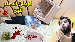 من أوروبـا  قربـان الدم للجن  أنظـروا خـوف الجن من الـراقي شبارو [upl. by Devona223]