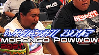 👍👍Whitetail Boyz Contest Song  Morongo CA Powwow 2021👍👍 [upl. by Calv]