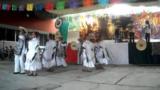 Barrios de taxco [upl. by Yemar931]