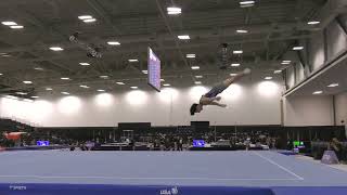 Xander Hong  Floor Exercise  2024 Elite Team Cup [upl. by Etan195]