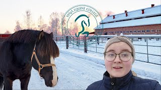 Millaista on Ypäjän opiskelijan arki🐎😲 Hevosopisto My Day [upl. by Bertie]