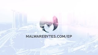 Malwarebytes Endpoint Protection [upl. by Eirised]