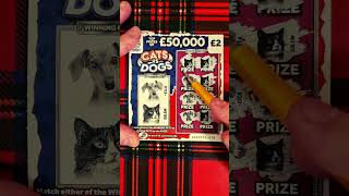 scratch card cats vs dogs full card win shorts win lotto [upl. by Adnilim]