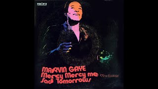 Marvin Gaye  Mercy Mercy Me The Ecology 1971 Soul Purrfection Version [upl. by Ccasi]