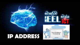 Networking  IP Address Subnets AL ICT NEELICT [upl. by Jovitah663]