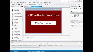 How to add page no in vbnet or c  add page no customize location  PrintDocument  programming [upl. by Marisa216]