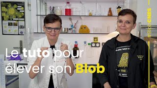 Comment élever un blob   Derrière le blob la recherche [upl. by Zara]