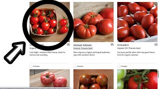 2023 TOMATO SEEDS  Choosing 4 Varieties from the Seed Catalog  Homestead Garden  Johnnys [upl. by Tonnie]