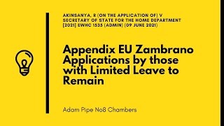 Appendix EU Zambrano Applications by those with Limited Leave to Remain [upl. by Noizneb]